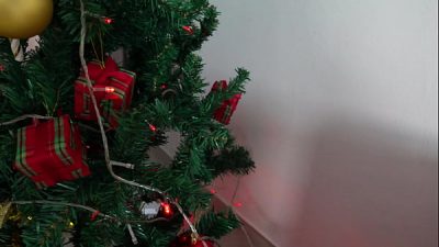 The Grinch Stole Christmas and Hard Fucking My Pussy!